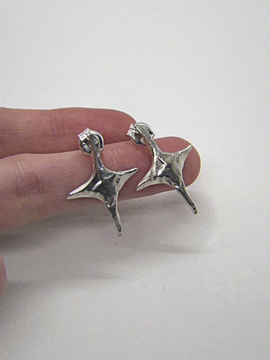 Estrella Earrings